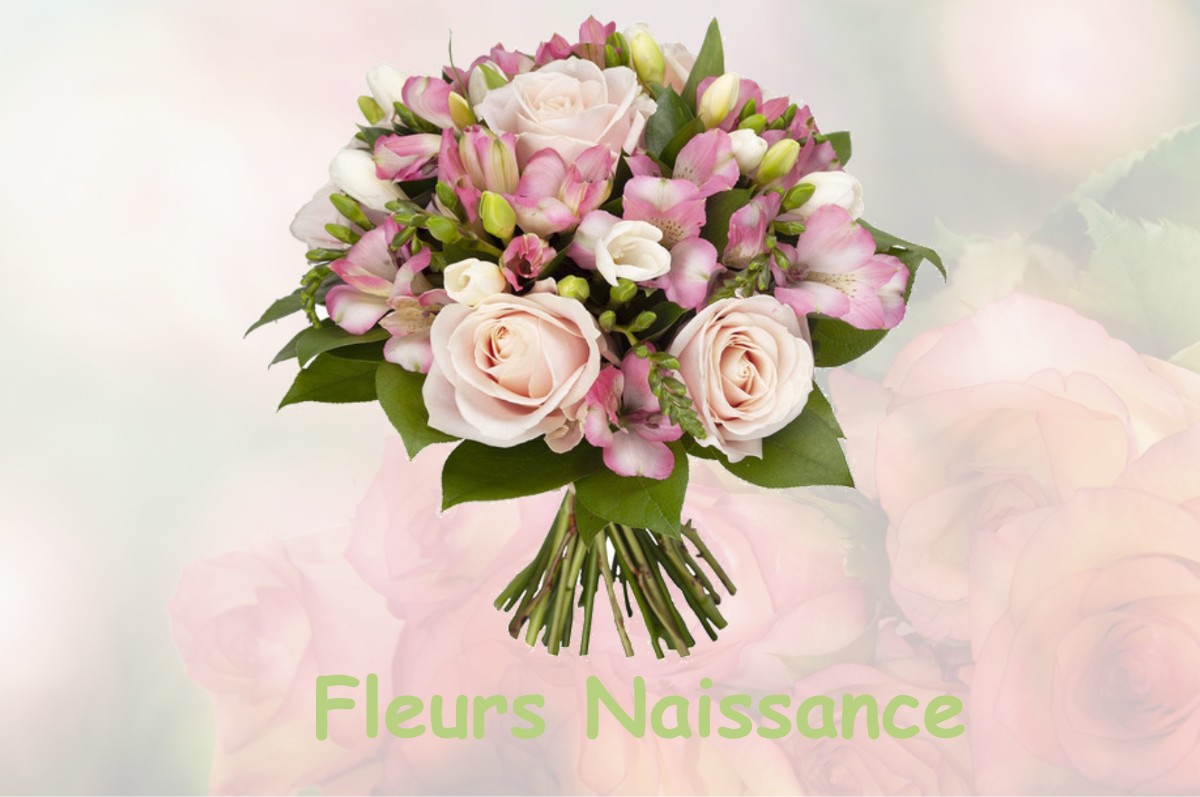 fleurs naissance ANDONVILLE