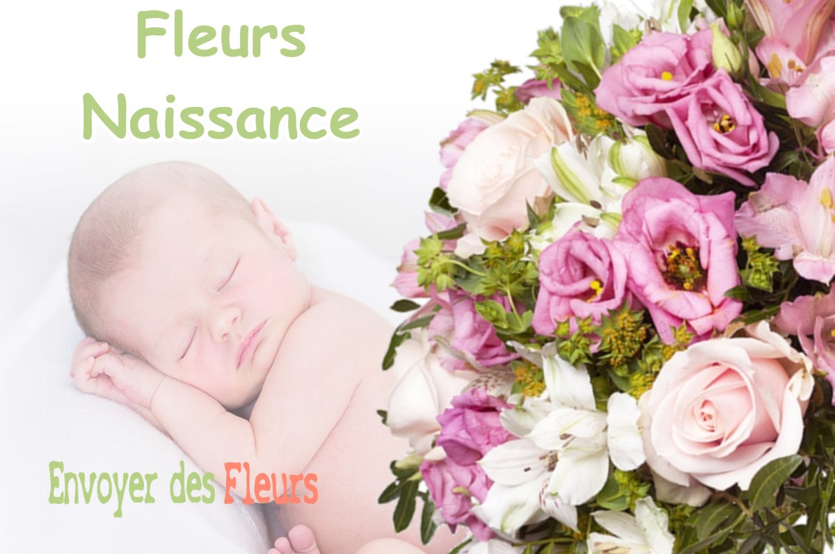 lIVRAISON FLEURS NAISSANCE à ANDONVILLE